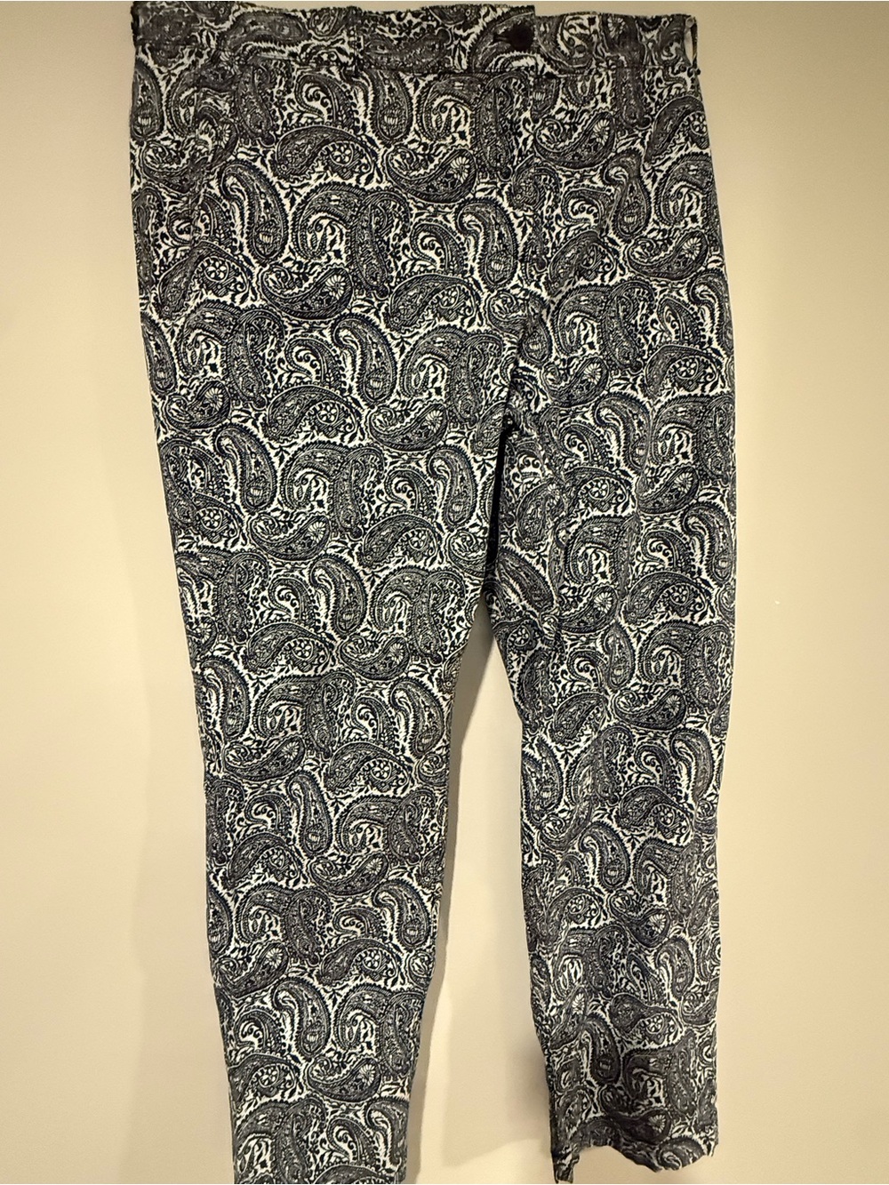 Talbots Blue & Aqua Paisley Ankle Pants